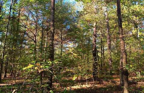 Lot 2 Judkins Road, Cecil, AL 36013