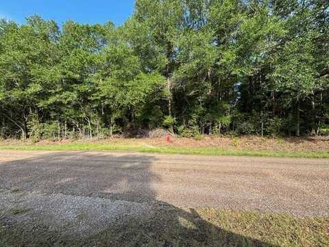 00 Good Hope Rd, Dozier, AL 36028