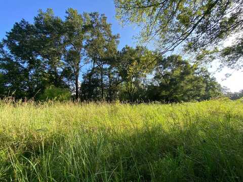 TBD1 Baudoin Rd, Maurice, LA 70555