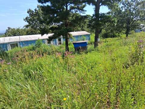 8080 Water Tower Rd, Talihina, OK 74571