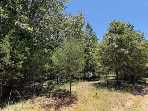 1500 Squirrel Hill Road, Salem, AR 72539