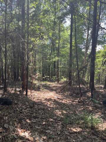 0 Fools Acre Rd, Jackson, AL 36545