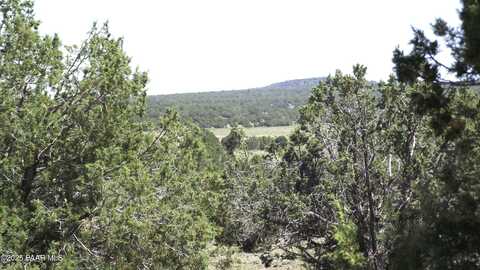 552 Stone Lake Boulevard, Williams, AZ 86046