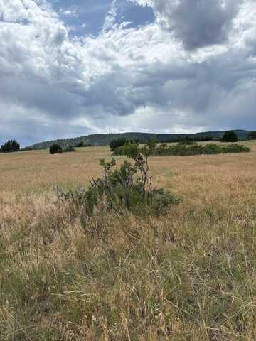 SW Lago Vistas Blvd lot: 8, Colorado City, CO 81019