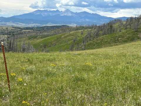 Forbes Wagon Creek Ranch lot: 463, Fort Garland, CO 81133