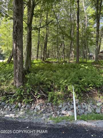 Oak Terr 227, Pocono Lake, PA 18347