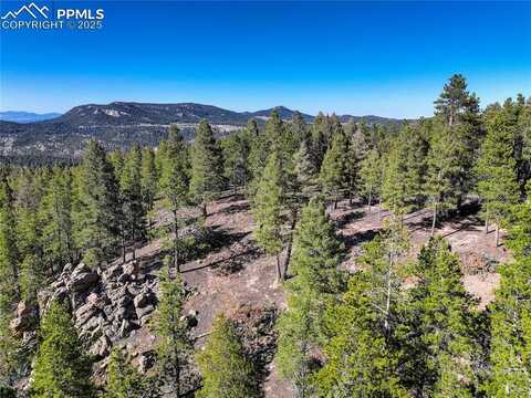 12329 Powhatan Trail, Conifer, CO 80433