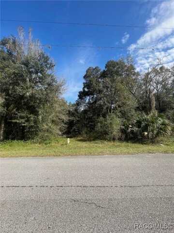 5797 N McKree Terrace, Crystal River, FL 34428