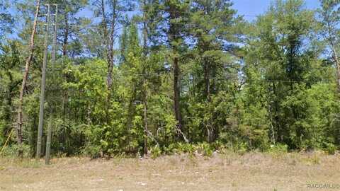 6389 W Oak Park Boulevard, Homosassa, FL 34446