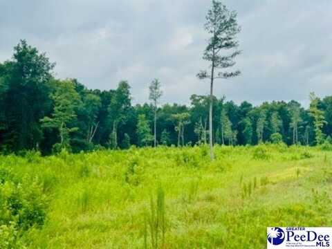 0000 Santa Anita Rd (4.61+/-), cheraw, SC 29520