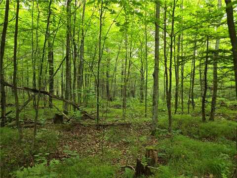 Lot 31 & 32 Woodcrest Drive, Cable, WI 54821
