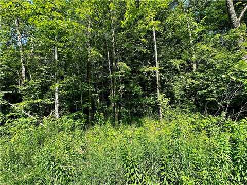 1 Acre 305th Avenue, Holcombe, WI 54745