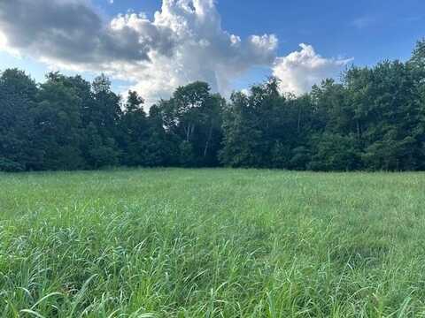 0 Toohey Ridge Road, Cave City, KY 42127