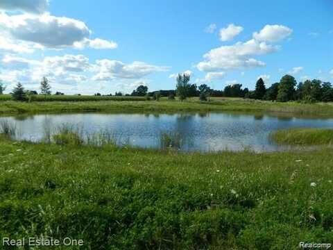 0 Cemetery, Kingston, MI 48741