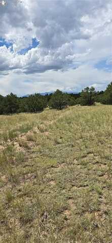 863 15th Trail, Cotopaxi, CO 81223