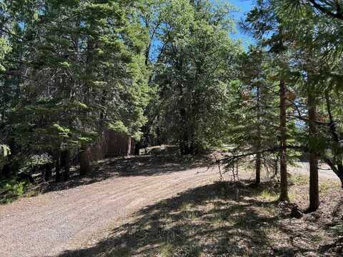 Lot 34-4 Hazelnut, Weed, CA 96094