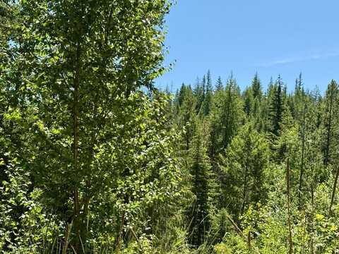 Tbd Perenlandra Cir, Other, WA 99121