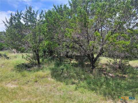 16011 Brazos Drive, Temple, TX 76502