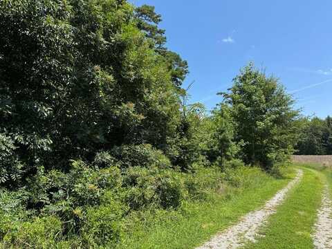 Parcel C Old School Road, Clarksville, VA 23927