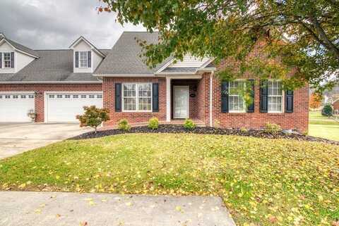 18525 Connie Sue Court, Abingdon, VA 24211