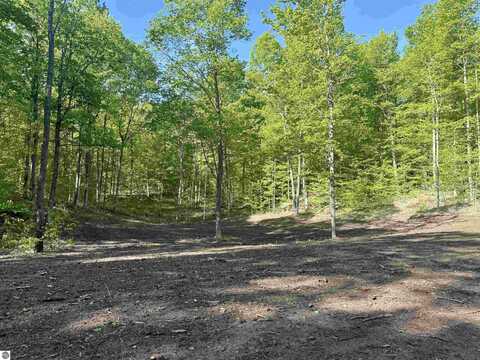1474 E Solaris Way, Maple City, MI 49664