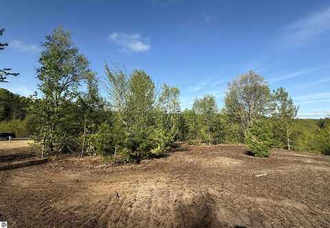 1029 E Solaris Way, Maple City, MI 49664