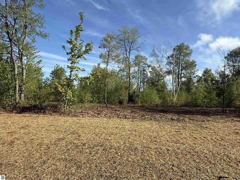 1087 E Solaris Way, Maple City, MI 49664