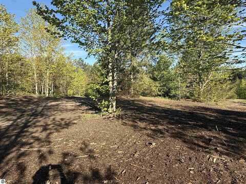 1007 E Solaris Way, Maple City, MI 49664