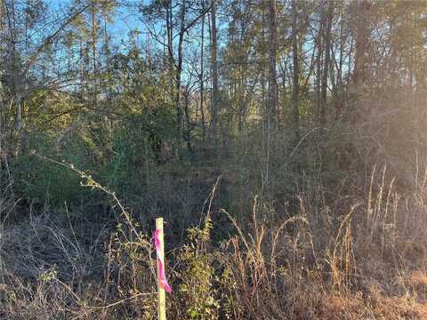 Goreville Avenue, Alford, FL 32420