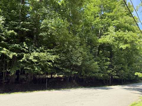 0 Indian Rock Trail Trail, Saranac Lake, NY 12983
