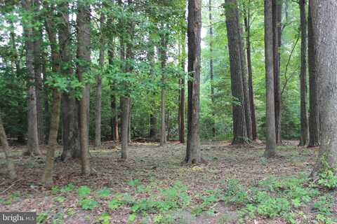 2105 BUCCANEER BOULEVARD, GREENBACKVILLE, VA 23356