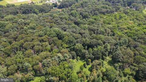 0 BIRCH LANE, PILESGROVE, NJ 08098