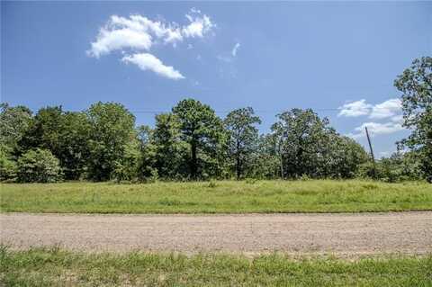 370 Pinewood CIR, Delaware, AR 72835