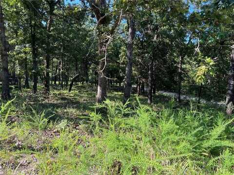 W Pine ST, Diamond City, AR 72644