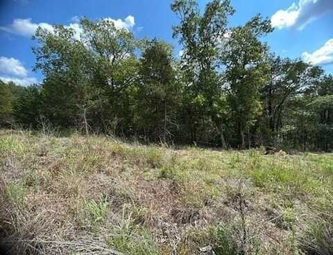214 Stateline DR, Holiday Island, AR 72631
