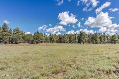 95 E FOXBORO Road, Munds Park, AZ 86017