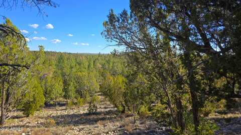 2947 E LOOKOUT Lane, Overgaard, AZ 85933