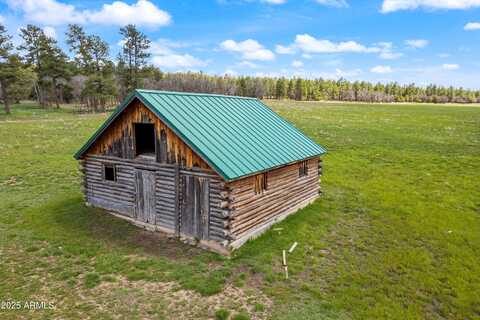 931 W WOODLAND LAKE Road, Lakeside, AZ 85929