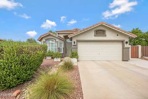 8235 W MARCO POLO Road, Peoria, AZ 85382
