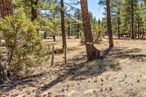 318 W AVA J Circle, Munds Park, AZ 86017
