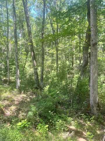 Sunshine Lane, WHITE OAK, WV 25989