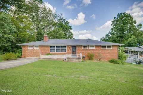 1117 Delrose Drive, Kingsport, TN 37660