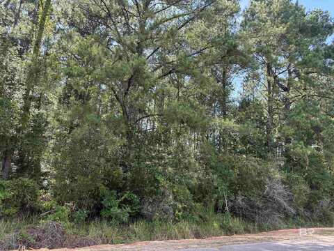 0 Jenkins Farm Road, Loxley, AL 36551