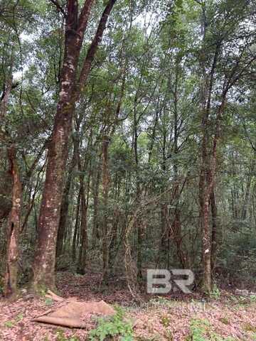0 Railroad Street, Atmore, AL 36502