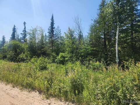 80 acres CR 415, Mc Millan, MI 49853