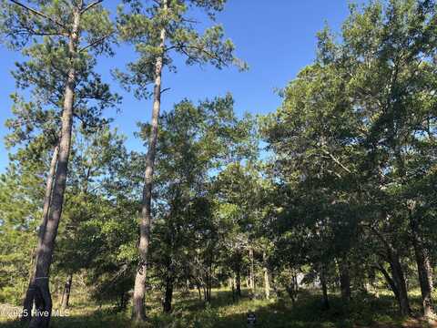 989 Ashburton Road SE, Bolivia, NC 28422