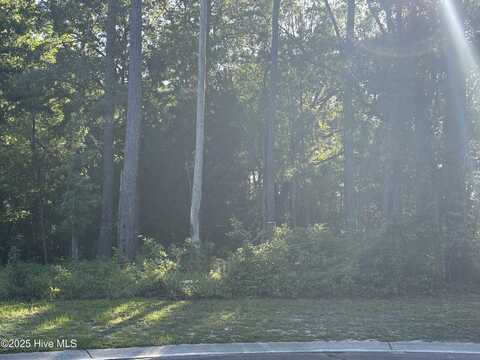 996 Ashburton Road SE, Bolivia, NC 28422