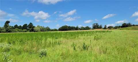 0001 Lone Star Lane, Franklin, TX 77856
