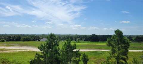 0000 Lone Star Lane, Franklin, TX 77856