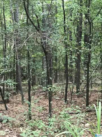 0 AURORA DRIVE, ALPINE, AL 35014